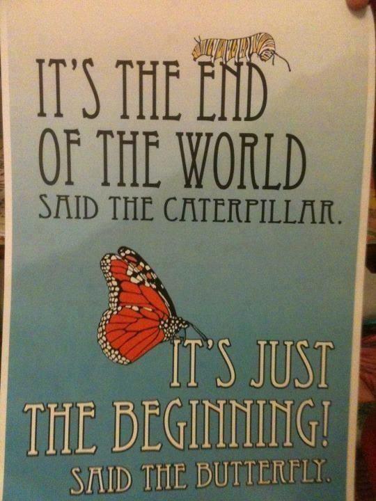 Facebook shared graphic "It's the end of the world, said the caterpillar.  It's just beginning!, said the butterfly"