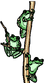 Three frogs sitting on a log